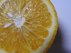 柑橘類